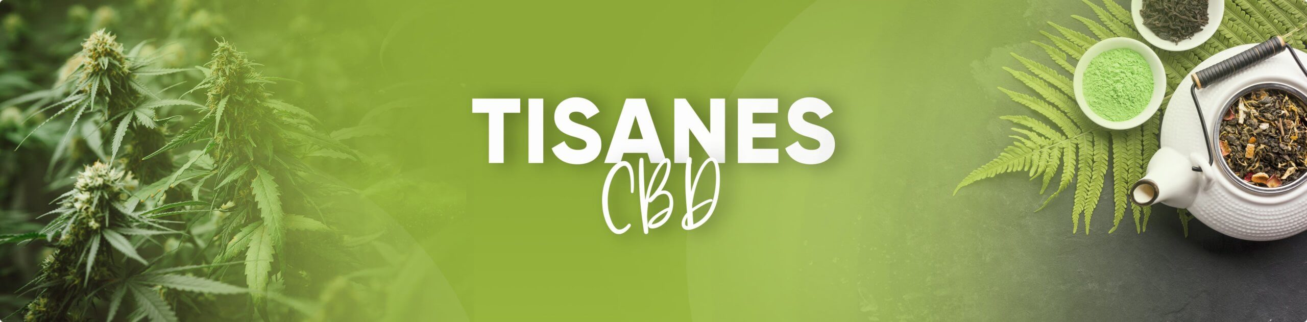 Tisane CBD – Tisane relaxante au chanvre – Comestibles CBD Cannabiside
