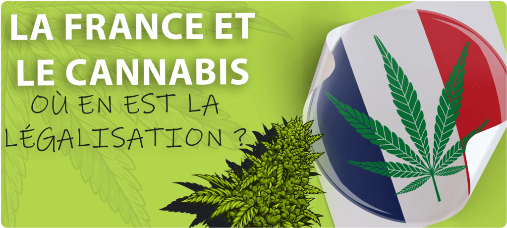 Légalisation cannabis France